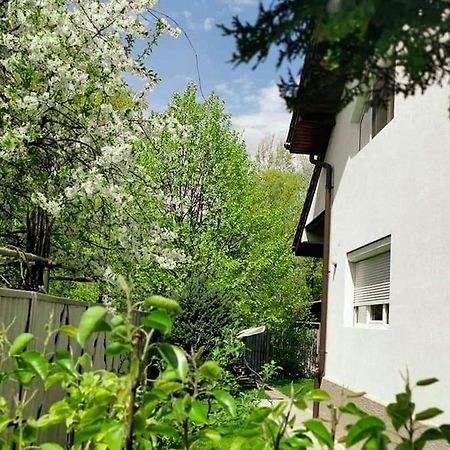 Casa File De Poveste Târgu Jiu Εξωτερικό φωτογραφία