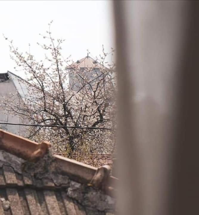 Casa File De Poveste Târgu Jiu Εξωτερικό φωτογραφία