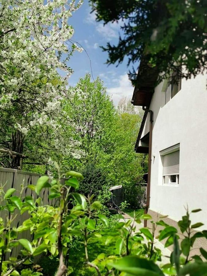 Casa File De Poveste Târgu Jiu Εξωτερικό φωτογραφία