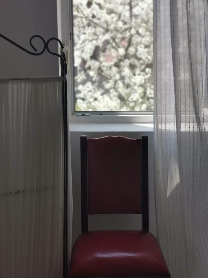 Casa File De Poveste Târgu Jiu Εξωτερικό φωτογραφία