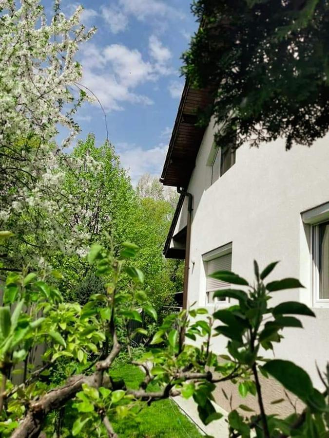 Casa File De Poveste Târgu Jiu Εξωτερικό φωτογραφία